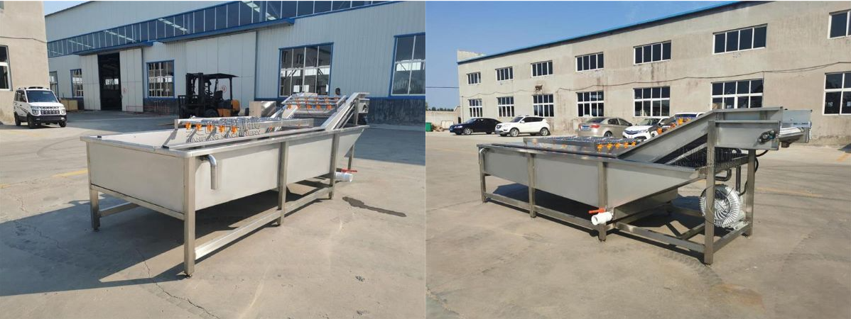 叶菜类喷淋气泡清洗机器设备